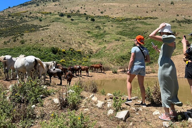 1-Day Tour in Blue Eye, Monastery, Gjirokaster and Lekursi Castle - Is $44.65 a fair price?