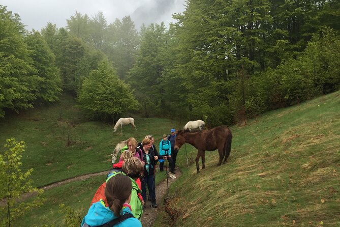 5 Days Hiking Tour to the north of Albania - Kruja Castle and the world of Skanderbeg