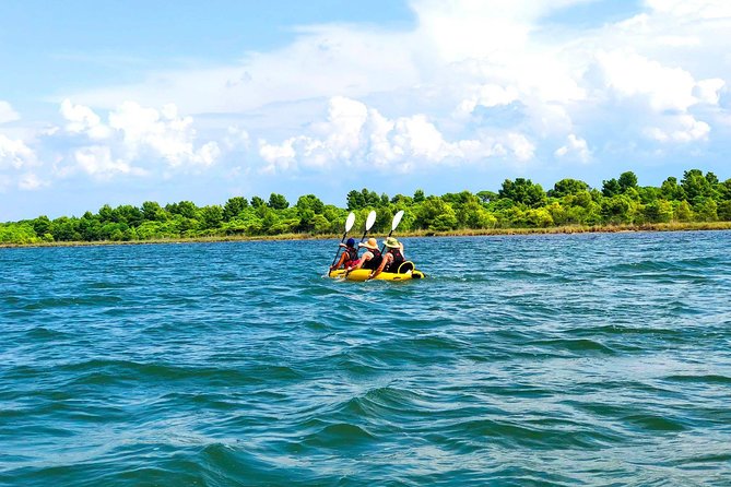 Albania Birdwatching, Kayaking, Bicycle National Park Divjaka Karavasta(ARG) - Key details to know before booking