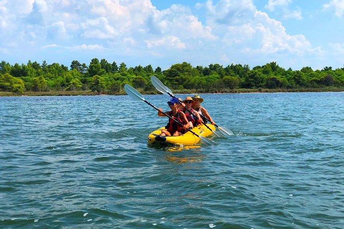 Albania Birdwatching, Kayaking, Bicycle National Park Divjaka Karavasta(ARG) - Why Divjaka-Karavasta makes a good day out