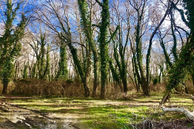 Albania Birdwatching, Kayaking, Bicycle National Park Divjaka Karavasta(ARG) - What the private format changes