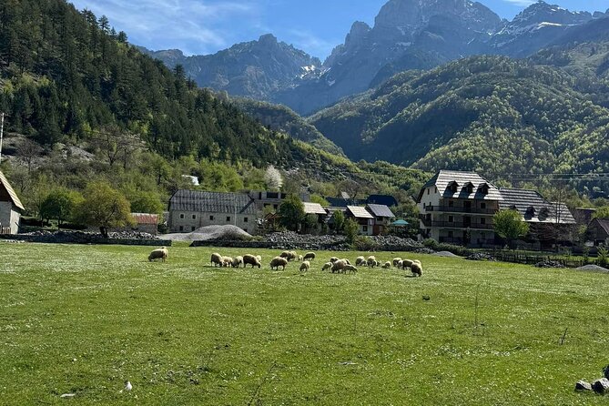Albanian Alps and Theth Village Day Tour from Tirana - Guides, driving, and group comfort