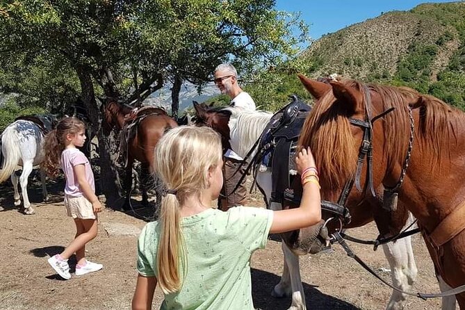 Amazing Horse Riding Experience at Vjosa National Park in Permet - Price, group size, and overall value