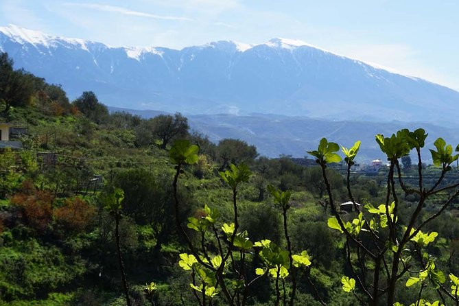 Ancients and Ottomans - Apollonia and Berat - Who will enjoy this tour most