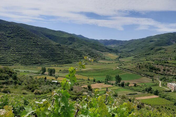 Berat 4x4 Off-Road and Vineyard Wine Tasting - Key points at a glance