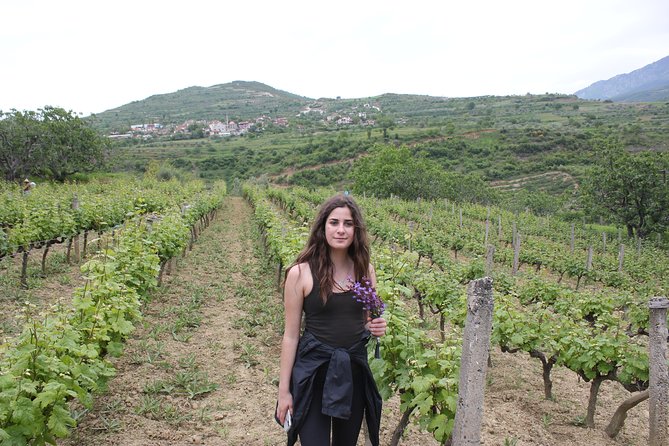 Berat Grand Wine Tasting & Food Tour - Four wines, raki, and Albanian snacks