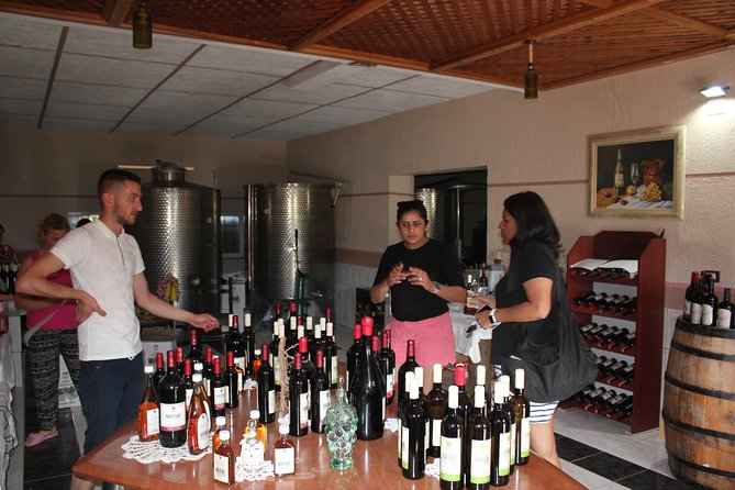 Berat Grand Wine Tasting & Food Tour - The ride between Berat and the wineries