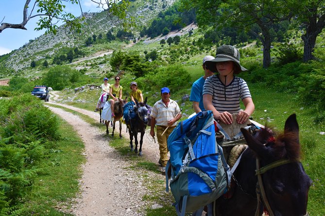 Berat Hiking Off Road picnic lunch in Tomori Holy Mount - Meeting shepherds and starting the mule ride