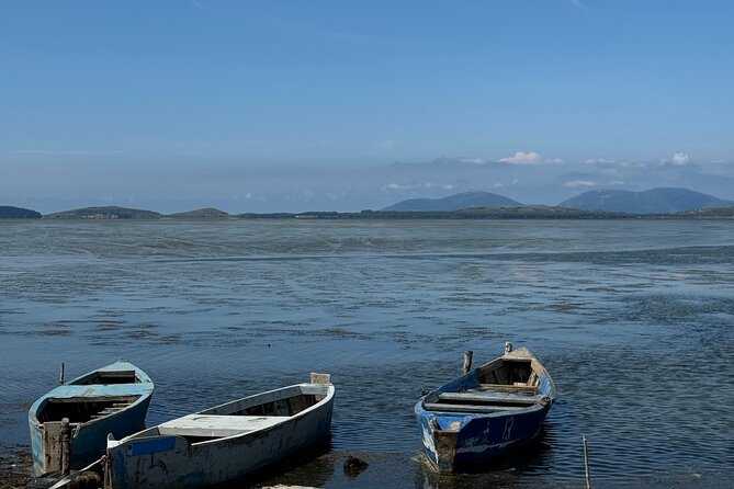 Birdwatching Experience in Narte Lagoon & Akerni Dunes - From Hidrovorri forest to the sandy dunes