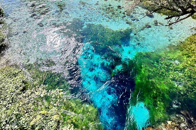 Blue Eye And Lekuresi Castle, 4 Hour Nature and Historical Tour - The Blue Eye, a spring with startling color