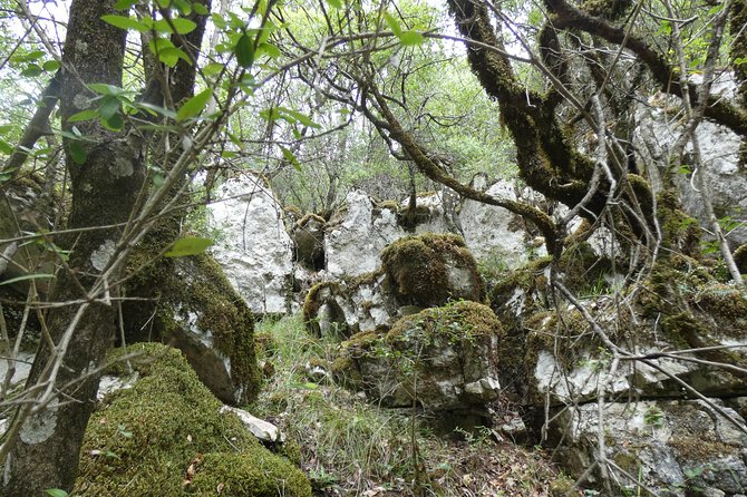 BOGOVA WATERFALL & WINERY TOUR from Berat by 1001 AA - What the $89.15 price really covers