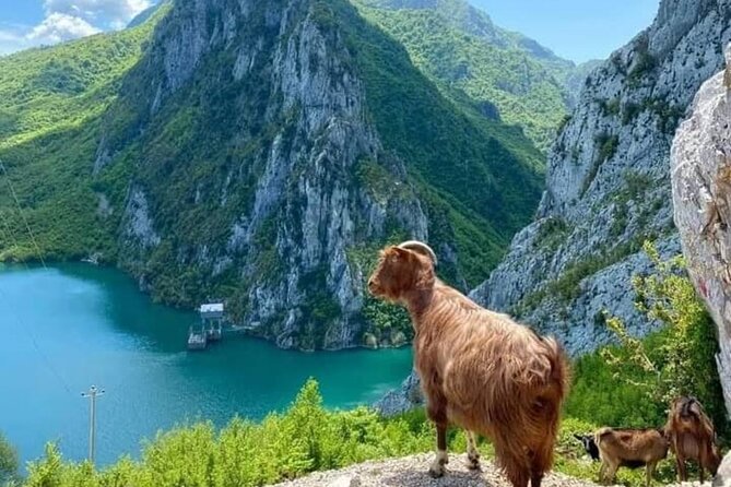 Bovilla Lake and Gamti Mountain Tour from Durres or Golem - Pickup from Durres or Golem