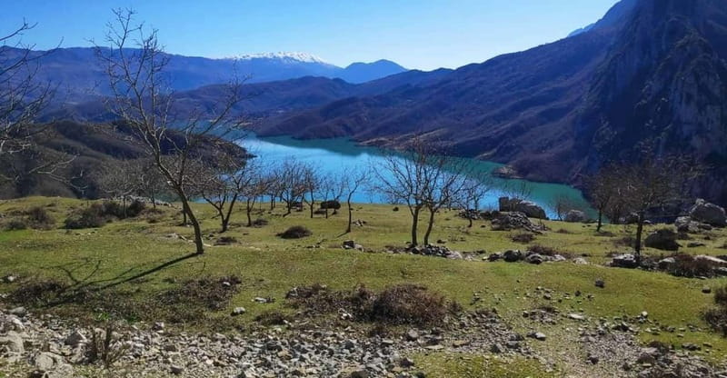 Bovilla Lake, Hiking and Swimming, Day Tour - The guided introduction at the lake