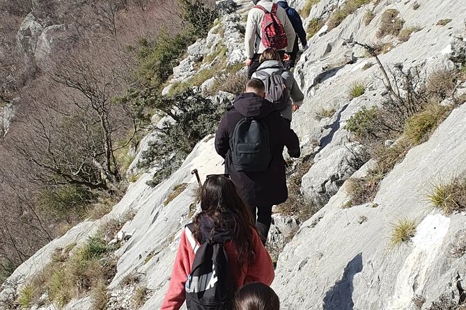 Bovilla lake Hiking Experience - Who will enjoy this outing most?