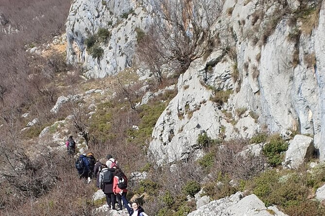 Bovilla lake Hiking Experience - Practical advice for a better morning