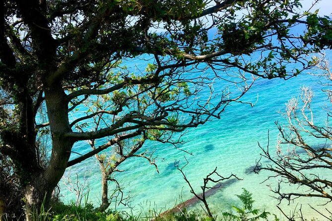 Cape of Rodon & Bunkers Day Tour Adventure from Durres - Why Cape of Rodon makes a good day away from Durrës