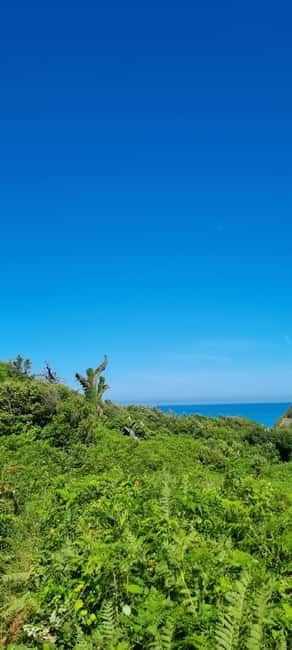 Cape of Rodon, Hiking to Castle, Beach, Wine testing tour! - Rodoni Castle, where the coast becomes the story