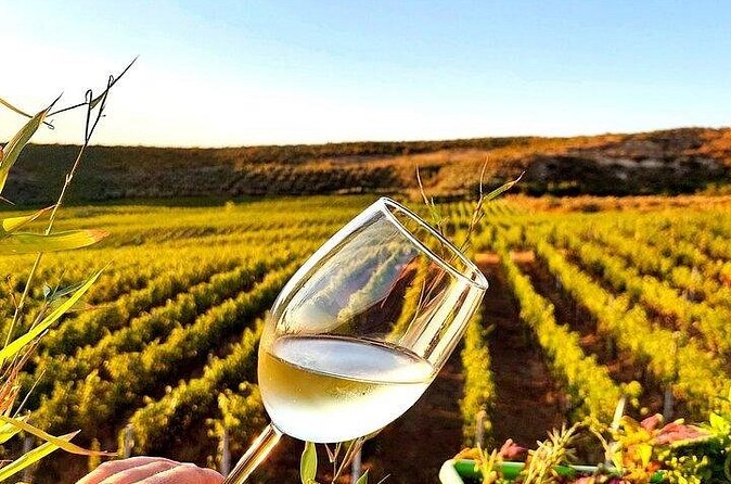 Durres Ancient City Tour and Winery Experience - What the $60.47 price really covers