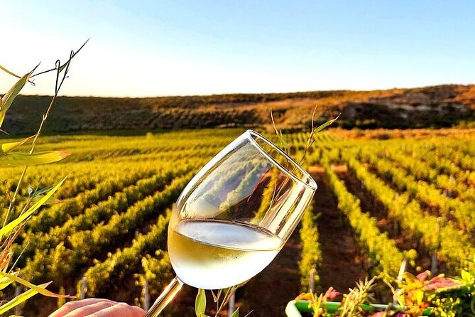 Durres Ancient City Tour and Winery Experience - Meeting in Tirana without a stressful start