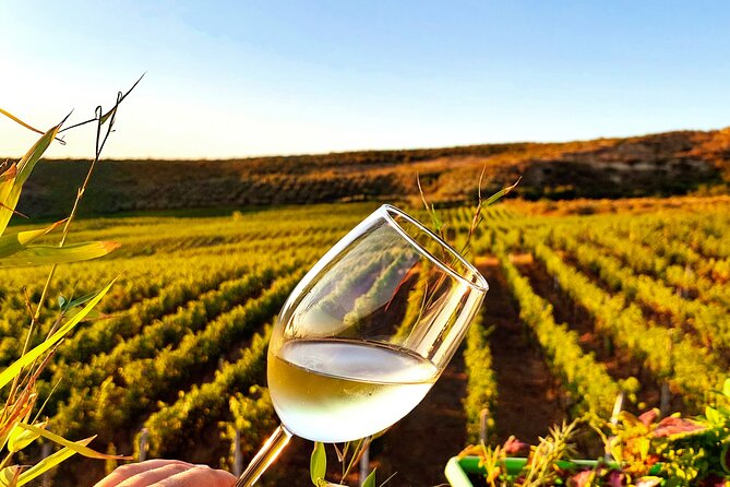Durrës Countryside Vineyard Experience with Wine & Food Pairing - The drive from Durrës to the countryside