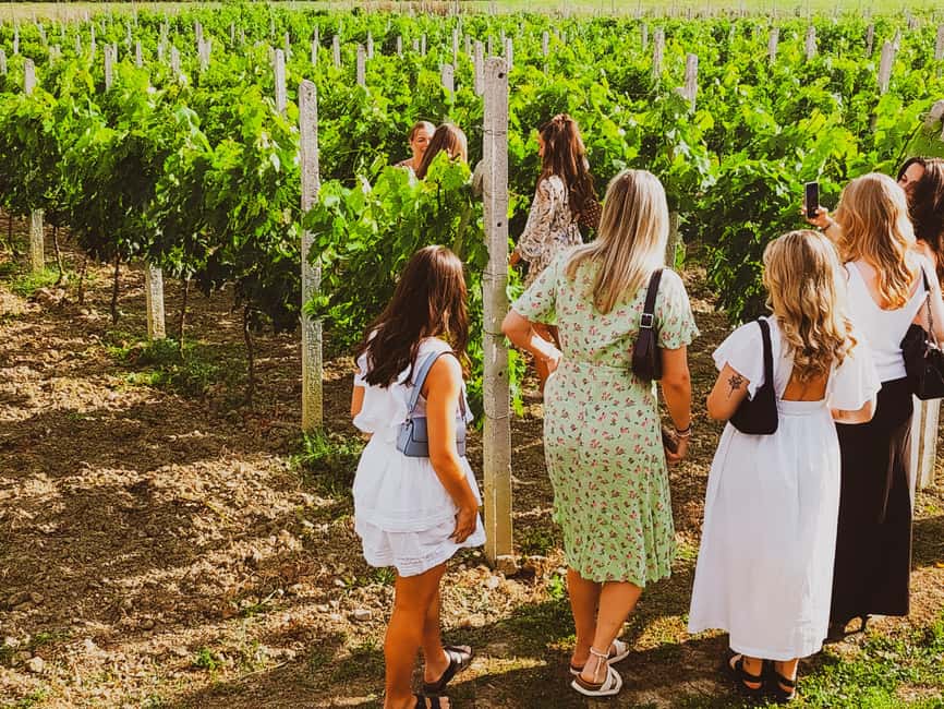 Durres Countryside Vineyards Wine Tasting & Food Pairing - Leaving Durrës for the vineyard hills