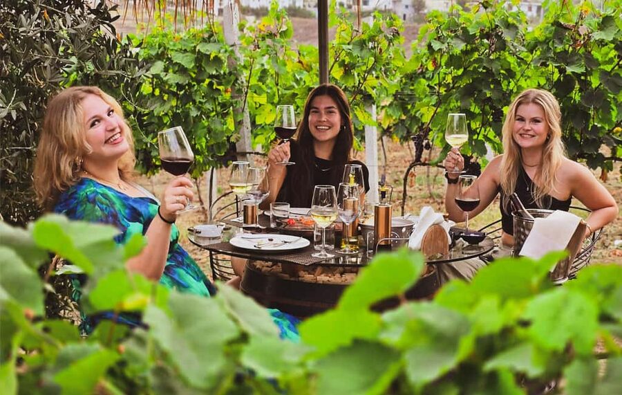 Durres Countryside Vineyards Wine Tasting & Food Pairing - Walking among vines above the Adriatic