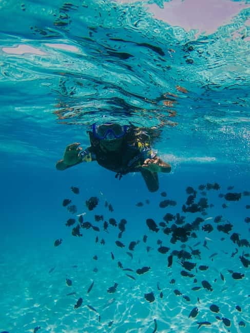 Durres & Tirana: Speed Boat Trip to Sazan, Karaburun & Cave - What makes this day trip worth considering