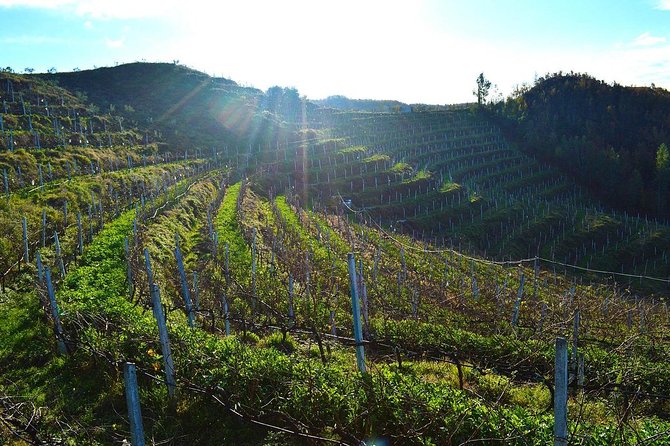 Durres & Wine Tasting Tour - Why this Durrës day trip works