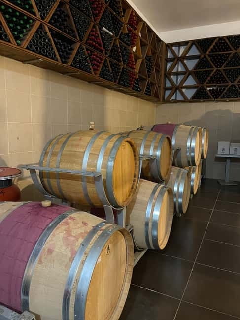 Durres & Wine Tasting Tour - Who should book this experience