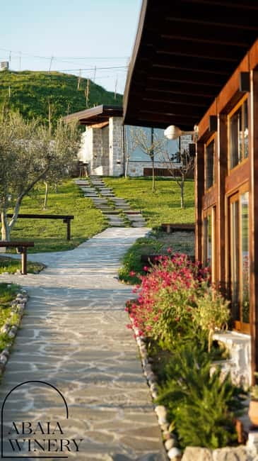 Experience Albanian Wine, daily tours from Durres - Three wines, two rakis, and traditional appetizers
