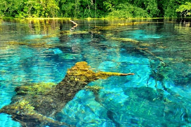 Explore Blue Eye- The Monument of Nature - Key points to know before booking
