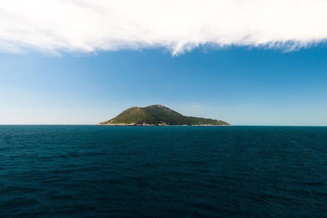 Explore Vlora Bay: Sazani Island &Karaburun peninsula from Tirana - Who will get the most from this day