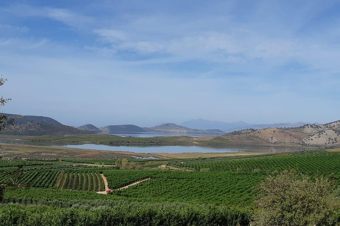 Family Mandarin Farming Tour with Traditional Cooking Lunch - Why Xarrë makes a good farm stop