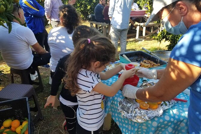 Family Mandarin Farming Tour with Traditional Cooking Lunch - Who should book this mandarin tour?