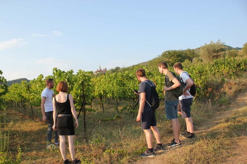 From Berat: Guided Winery Tour with Transfers and Tastings - Why Berat makes a good wine base