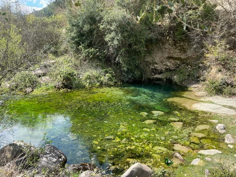 From Berat: Osumi Canyon and Bogova Waterfall tour. - Lunch and a drink in Polican