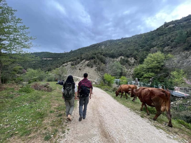 From Berat: Osumi Canyon and Bogova Waterfall tour. - The ride from Berat to Bogova Waterfall