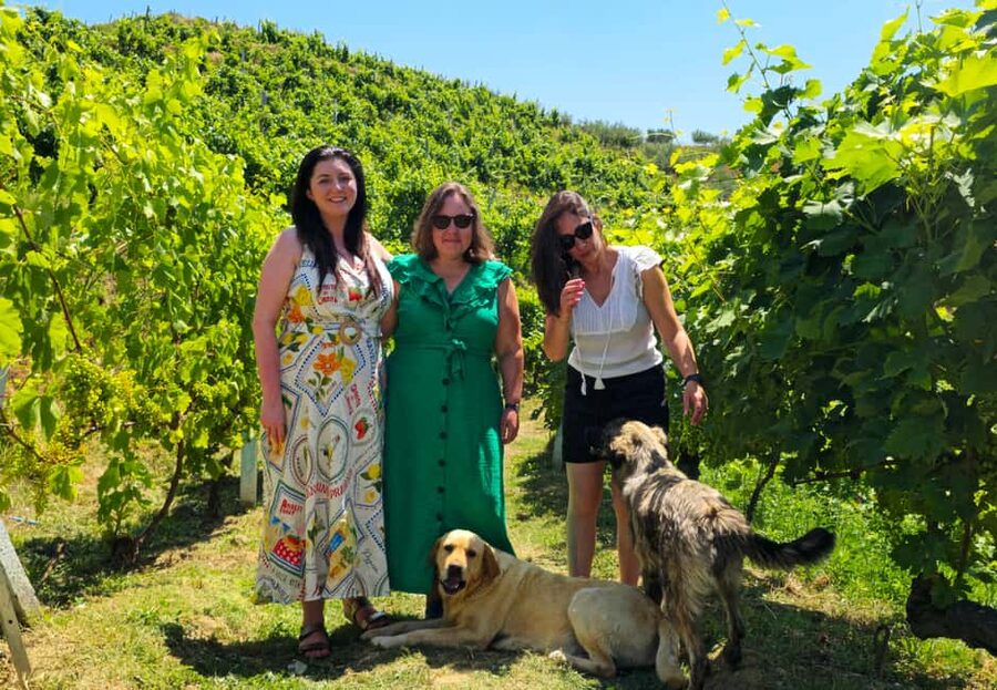 From Durrës: Albanian Wine Tasting with Vineyard & Boat Tour - The Tasting Table: Wine, Raki, and Albanian Snacks