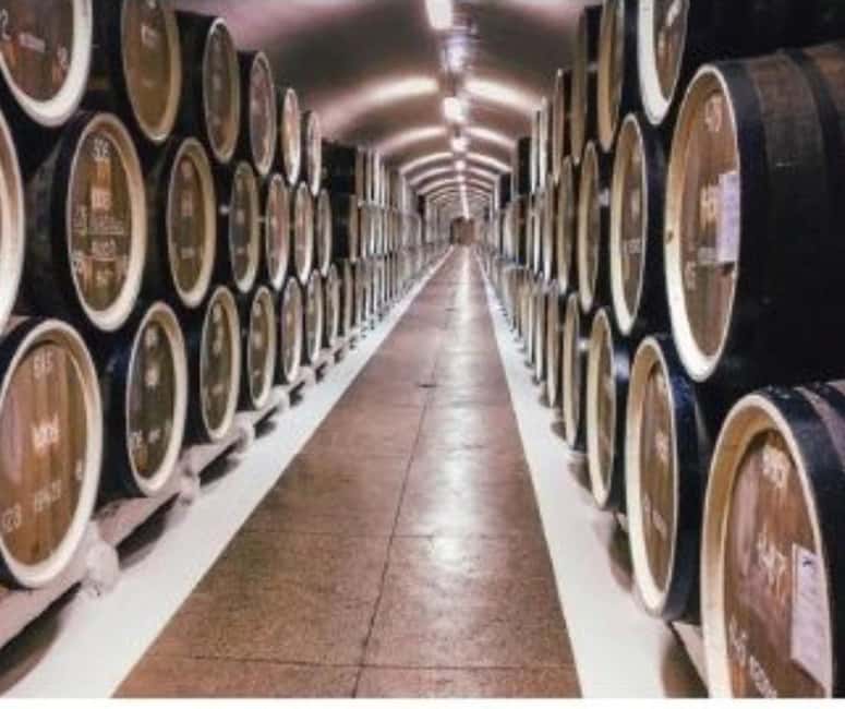 From Durres Golem: Cape of Rodon Castle & Wine Tasting Tour - Albanian wine at the local vineyard