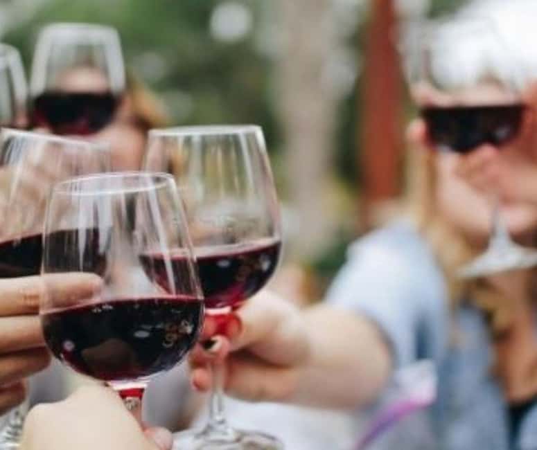 From Durres Golem: Cape of Rodon Castle & Wine Tasting Tour - What the guide adds to the day