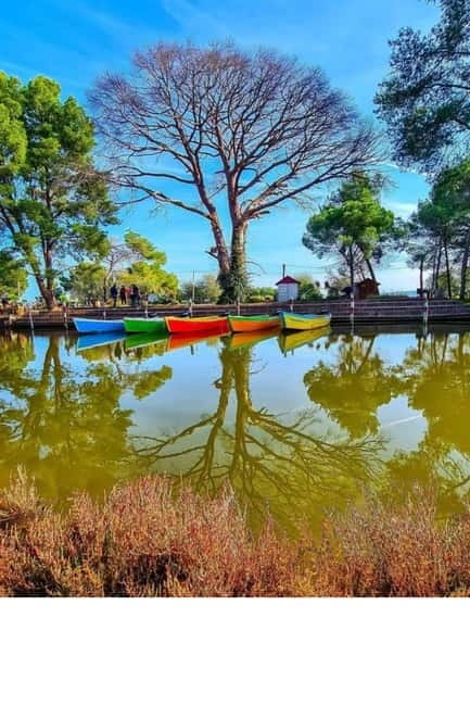 From Durres: Karavasta Lagoon & Apolonia Ancient City Tour - Is $153 a fair price?