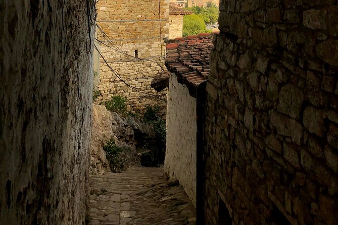 From Tirana: Berat UNESCO & Belshi Lake Full-Day Tour - Berat Castle delivers the strongest views