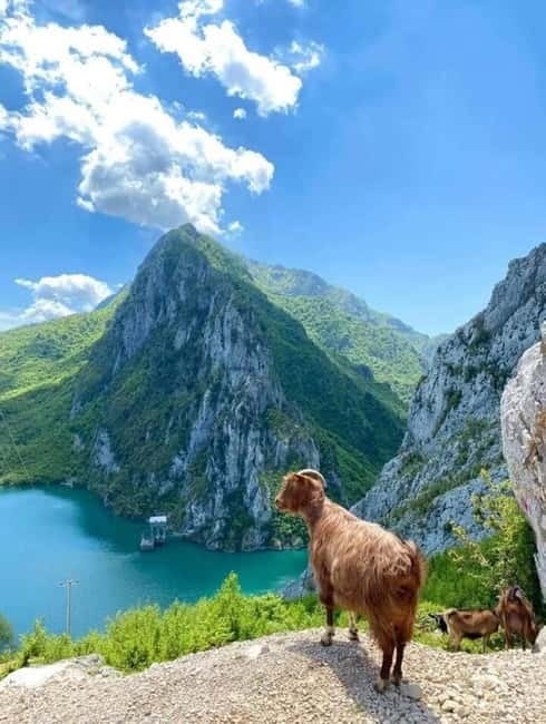 From Tirana: Bovilla Lake and Gamti Mountain Tour - Key points to know before booking