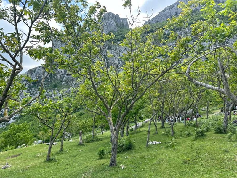 From Tirana: Bovilla Lake & Gamti Mountain Viewpoint Hike - What the $12 price really gets you