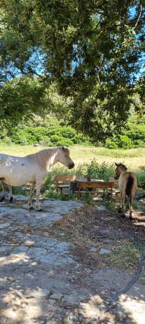 From Tirana: Cape of Rodon Sunset Photography Tour & Hiking! - Who will enjoy this Cape of Rodon tour