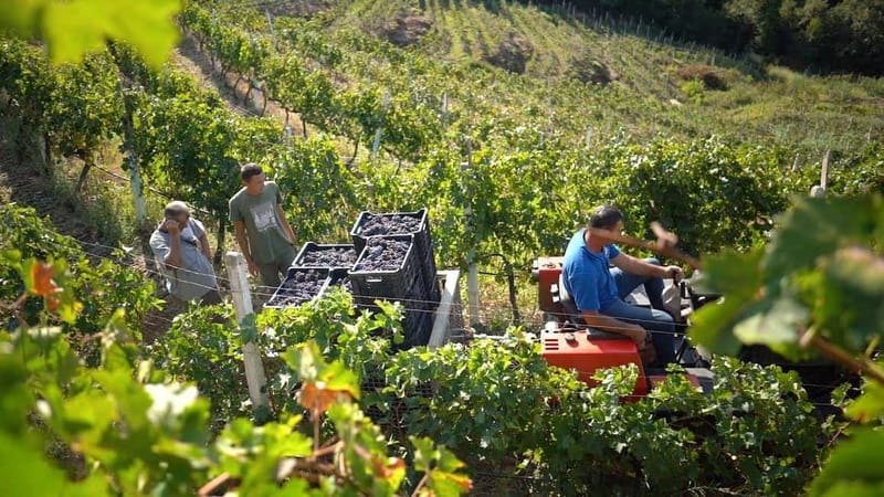 From Tirana/Durres/Golem: Cape of Rodon & Wine Tasting Tour. - The 15-minute walk toward Cape of Rodon