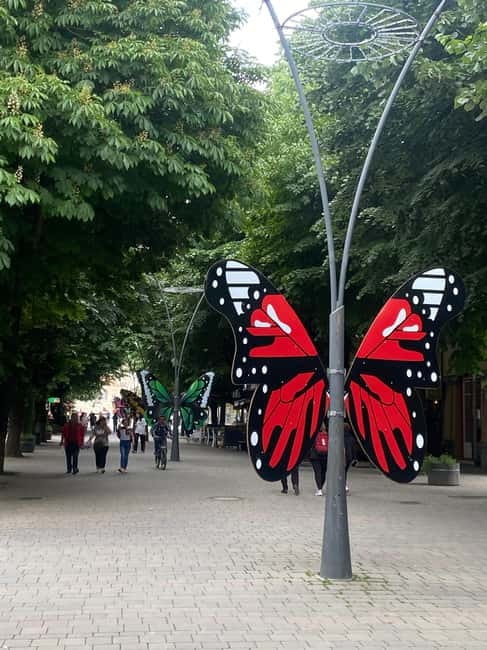 From Tirana/Durres: Korca, Voskopoja, Pogradec,Lin Day Tour - Korçë Bazaar brings the city to life