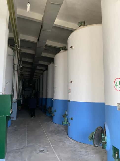 From Tirana/Durres:WINE TASTING AT THE USSR WINERY LIBRAZHD - Tasting wine, raki, and local spirits