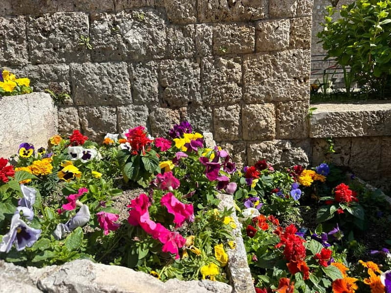 From Tirana: Kruja Castle, Old Bazaar & Sari Salltik View - Who should book this tour?