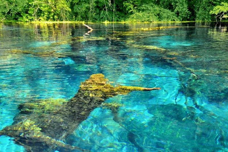 From Tirana: Ksamil, Blue Eye & Saranda Tour with Boat Tour - Guides, drivers, and the group experience